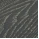 Fossil