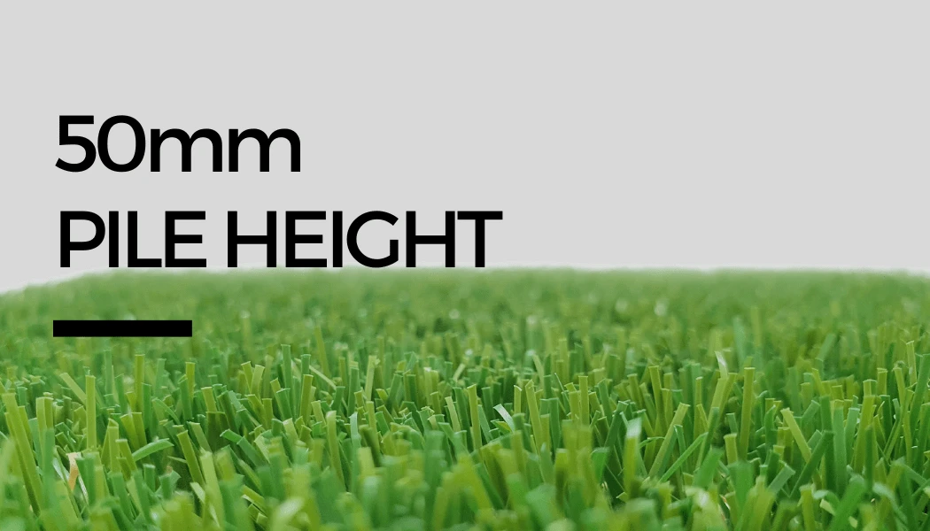 50mm Pile Height