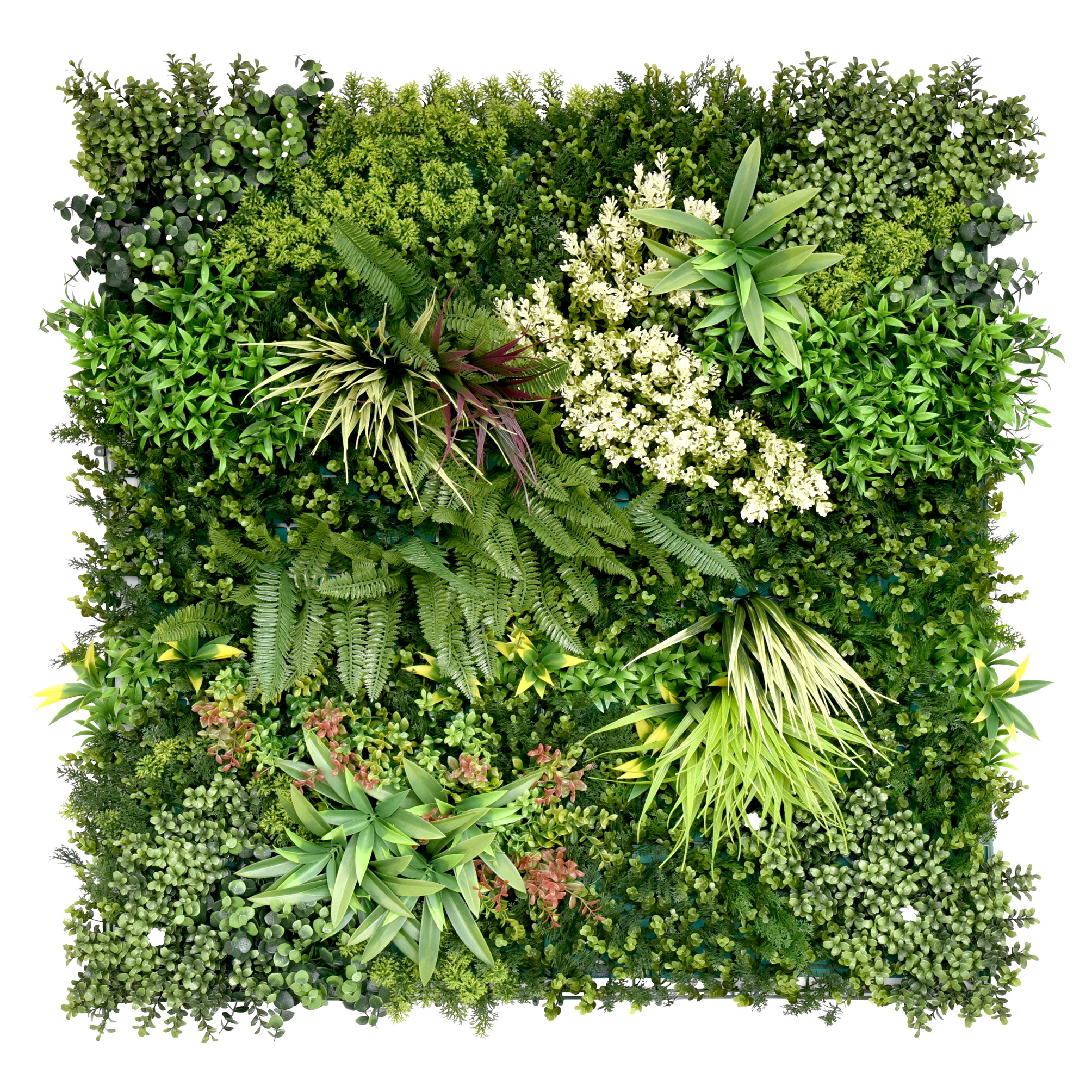 Green Wall | Design A | 1000mm x1000mm Green Wall | Design A | 1000mm x1000mm