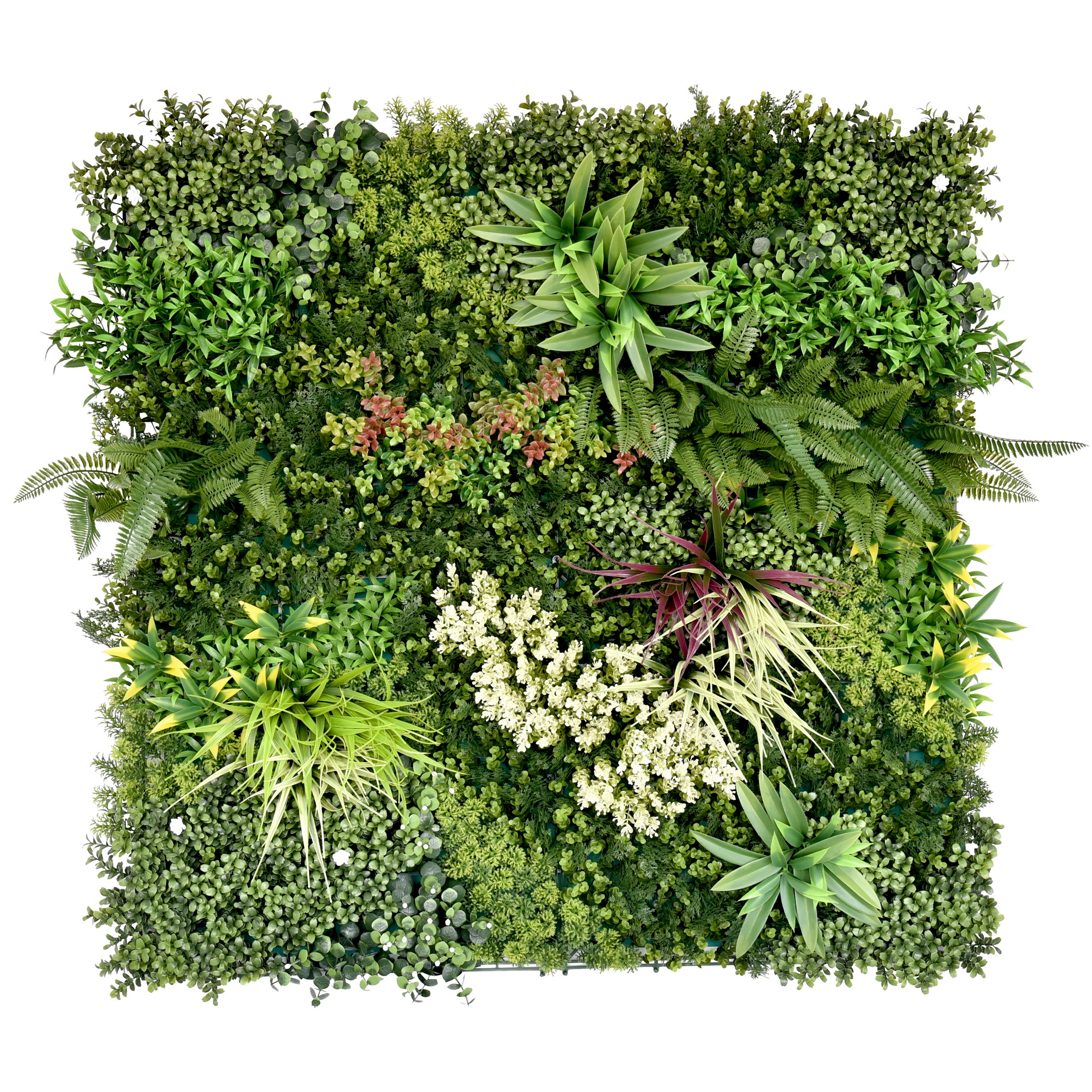 Green Wall | Design B | 1000mm x1000mm Green Wall | Design B | 1000mm x1000mm