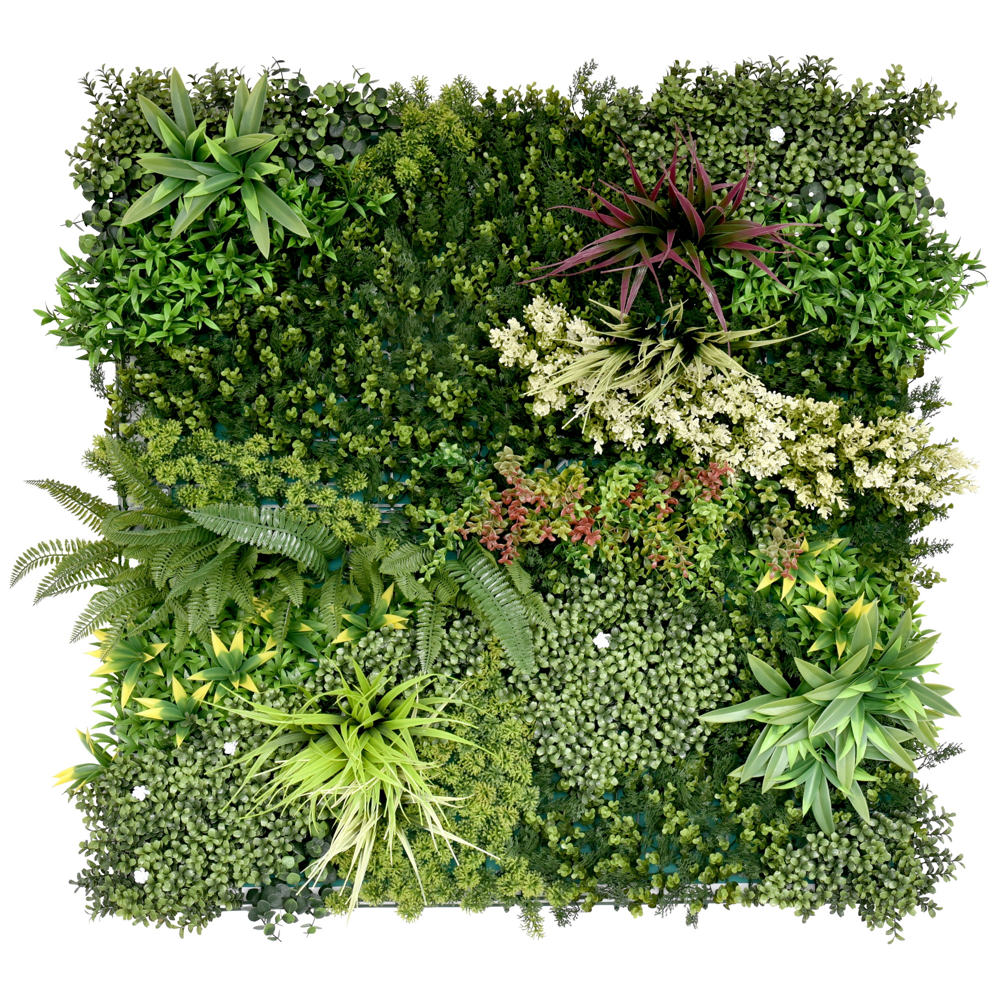 Green Wall | Design C | 1000mm x1000mm Green Wall | Design C | 1000mm x1000mm